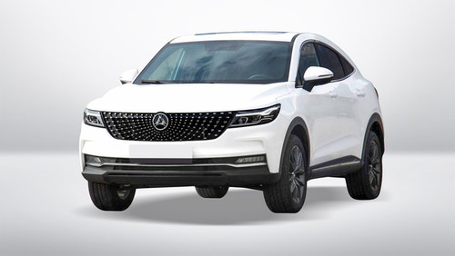 کفپوش دیگنیتی